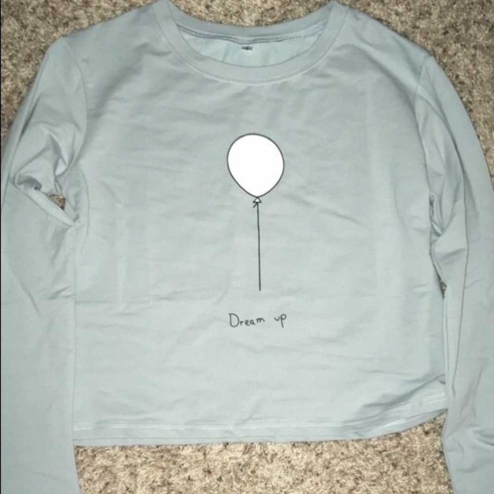 Pale Blue Balloon Long Sleeve Crop Top
